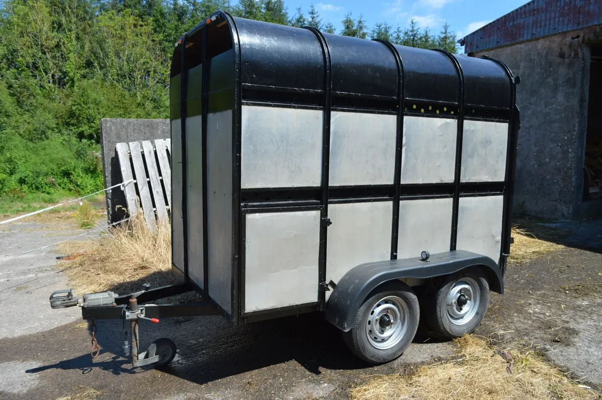 8 x 5 Livestock Trailer - Image 1