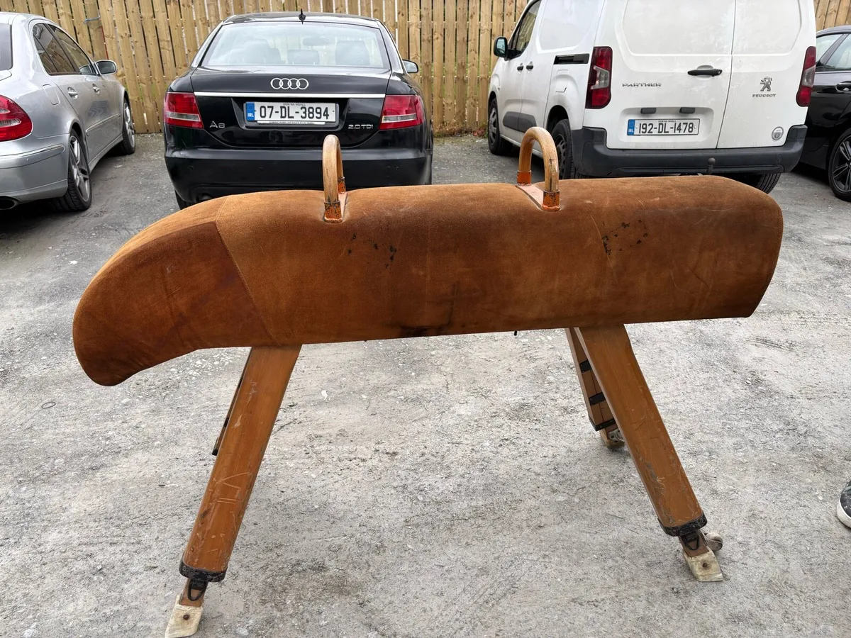Horse pommel - Image 3