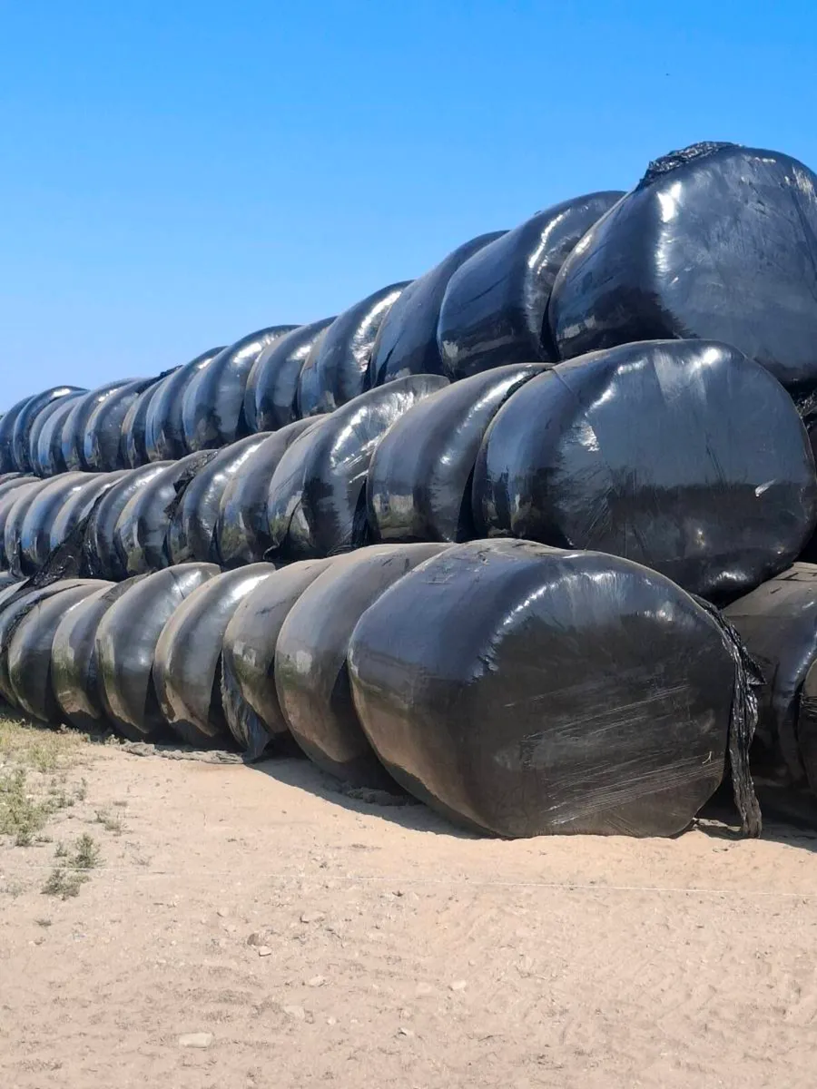 Silage for sale - Image 2