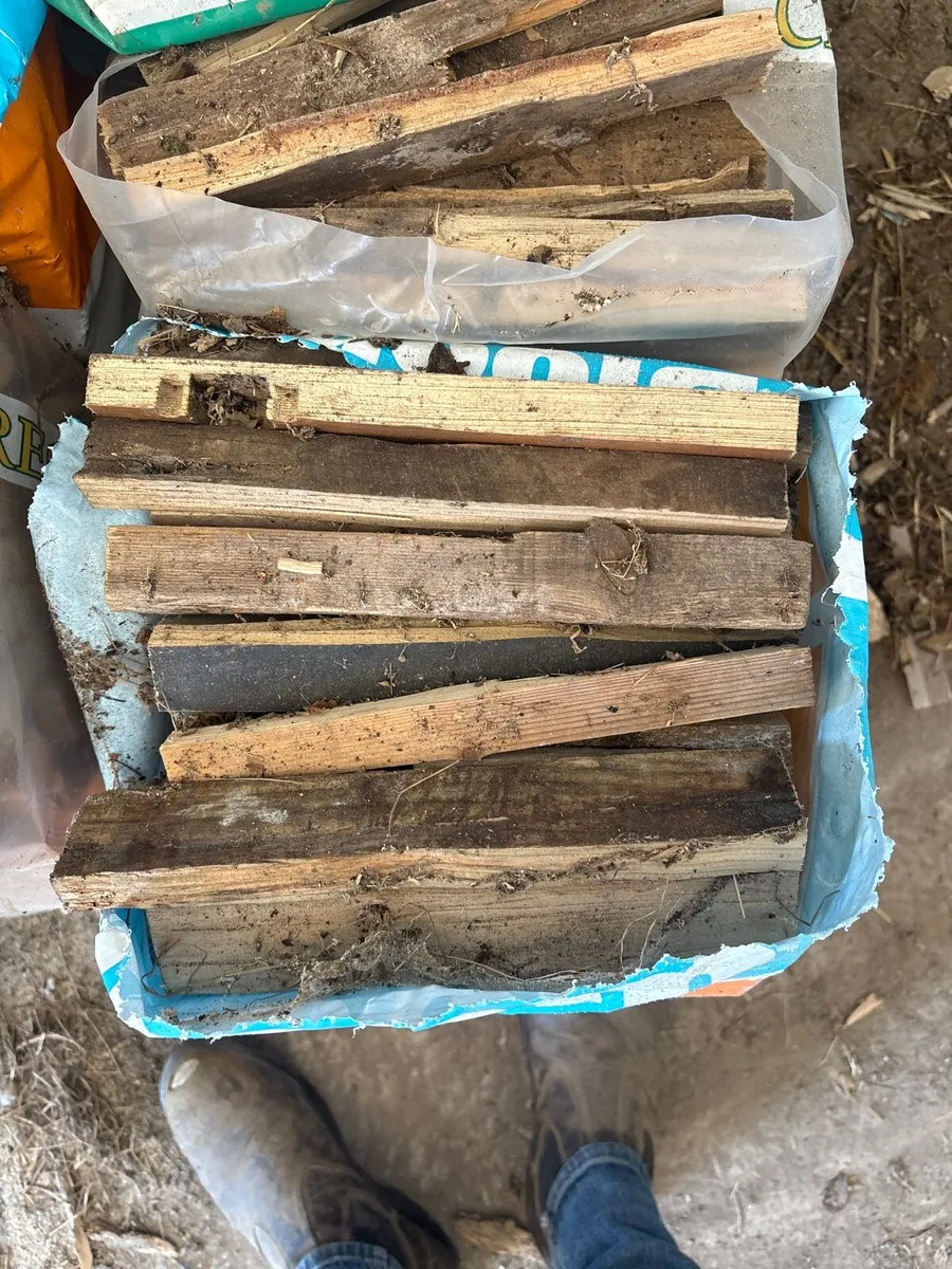 Firewood - Image 2