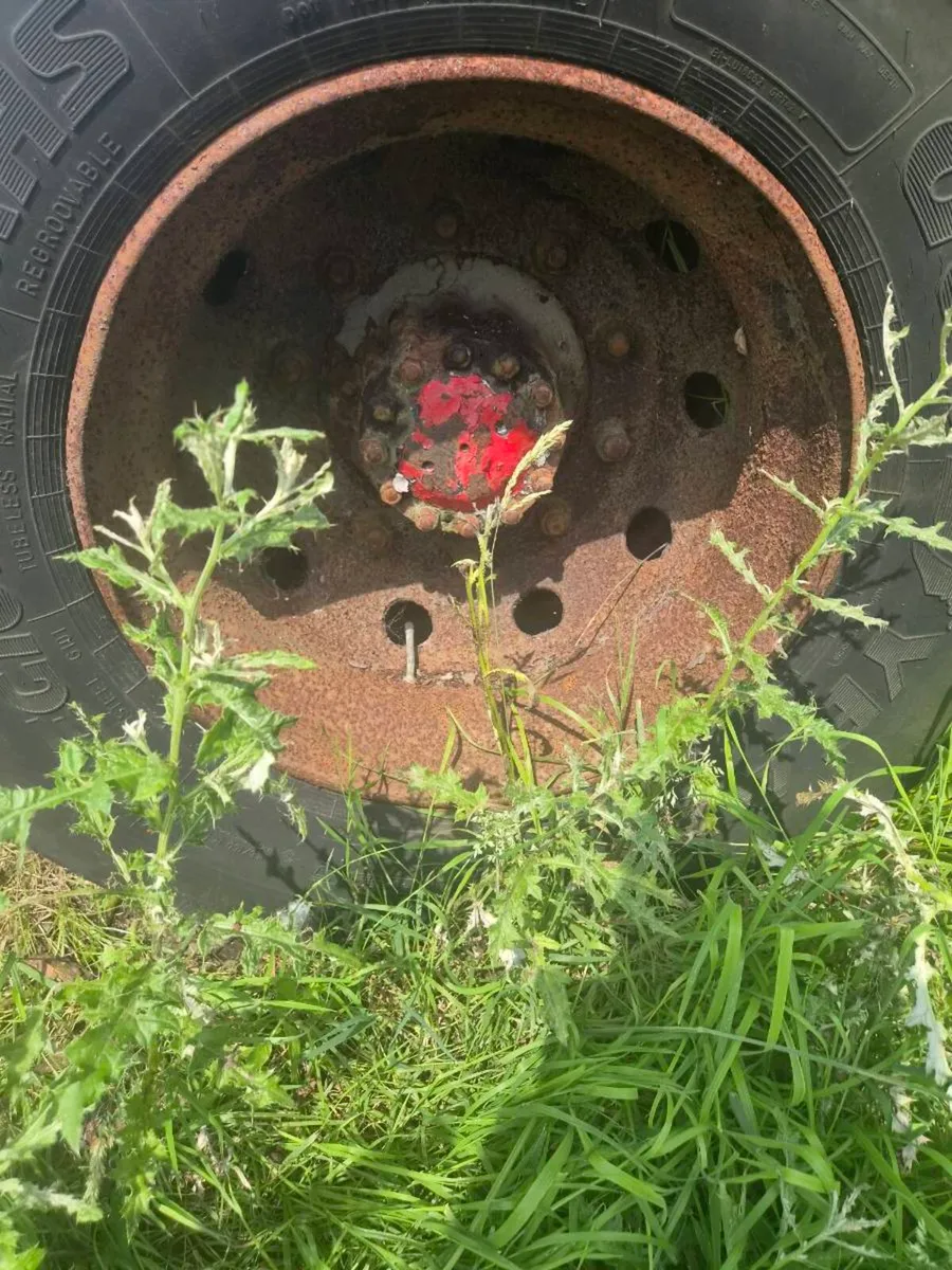 flat trailer - Image 2