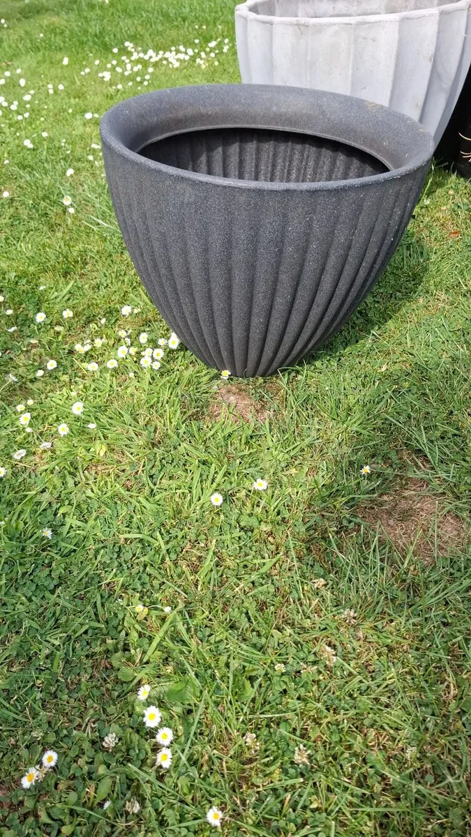 Plants pots ... quick sale - Image 3