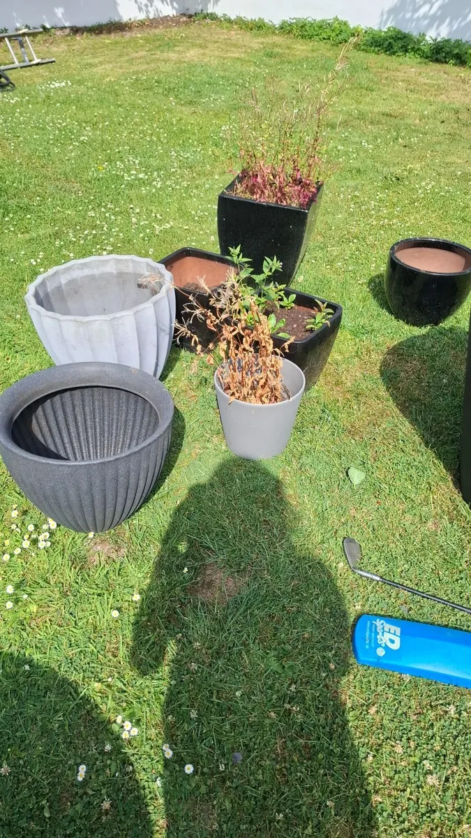 Plants pots ... quick sale - Image 1