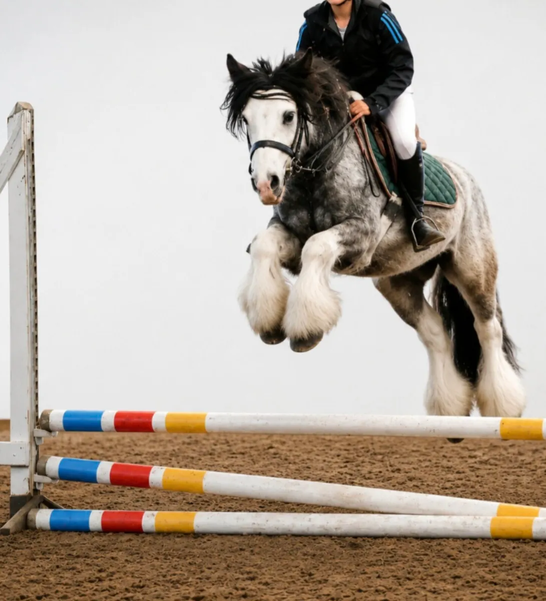 Perfect child's pony - Image 1