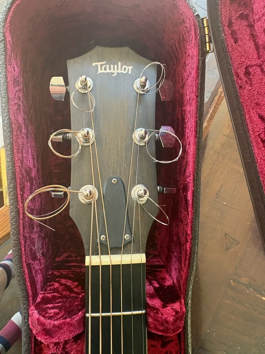Taylor Guitar - Image 4