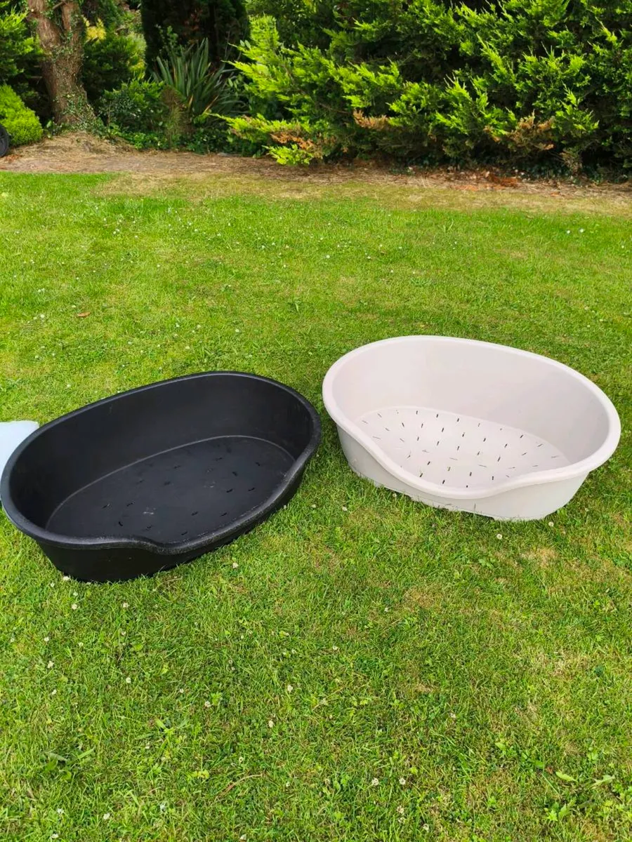 Dog paddle pool new ,2dog beds 25lot - Image 3