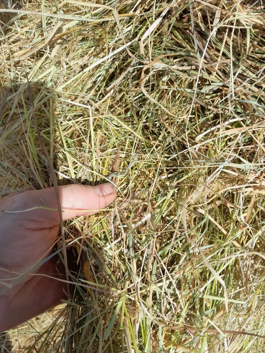 Hay Bales - Image 3