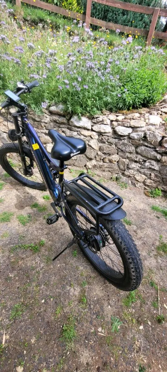 Electric Bike - Image 1