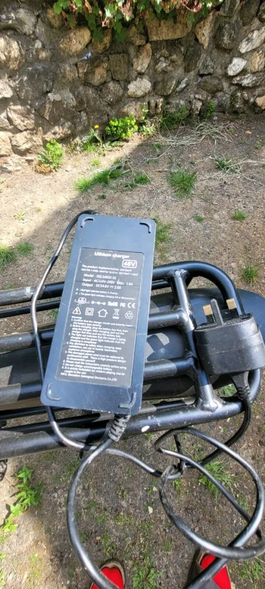 Electric Bike - Image 2