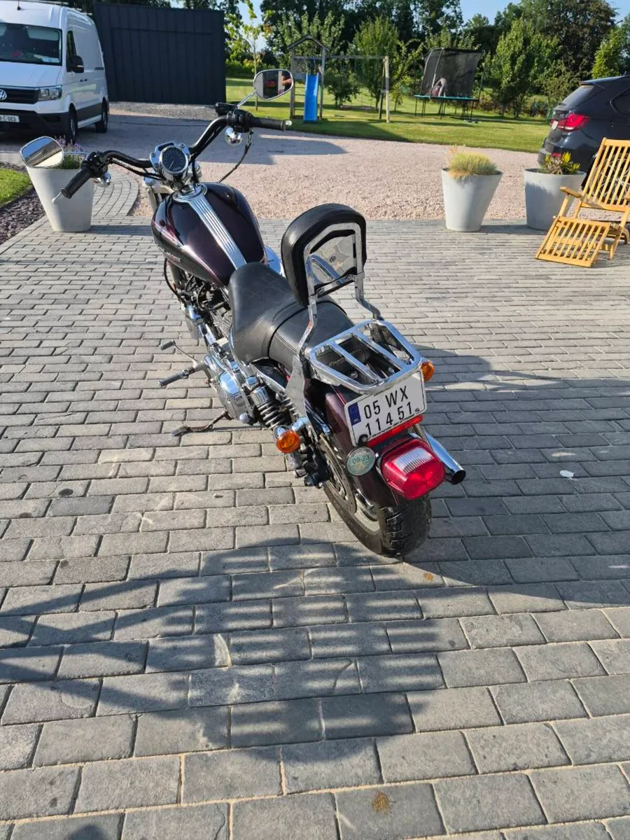 Harley Davidson sportster 1200 custom - Image 2