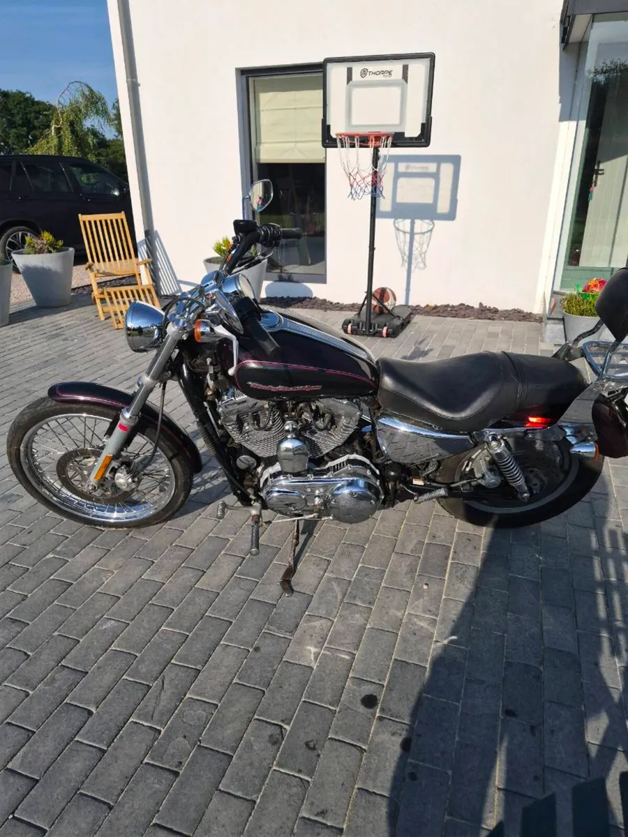 Harley Davidson sportster 1200 custom - Image 3
