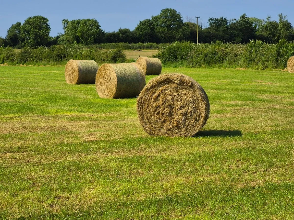 Bales of hay