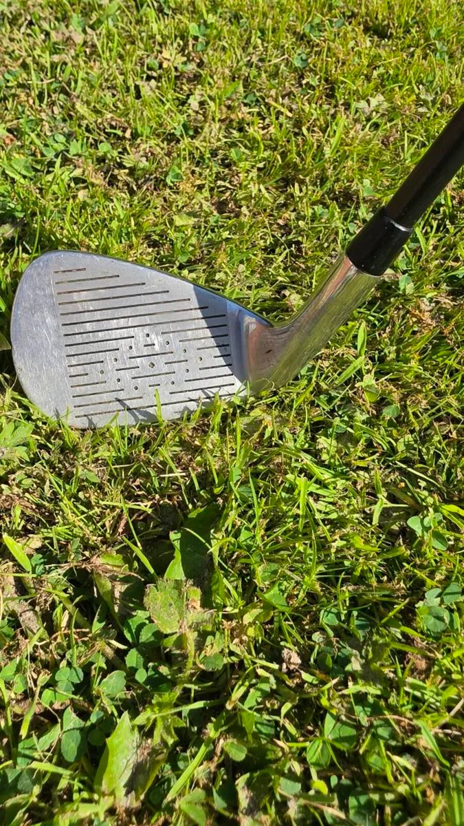Pitch and Putt Set (Odyssey Dual Force 220 Putter) - Image 4
