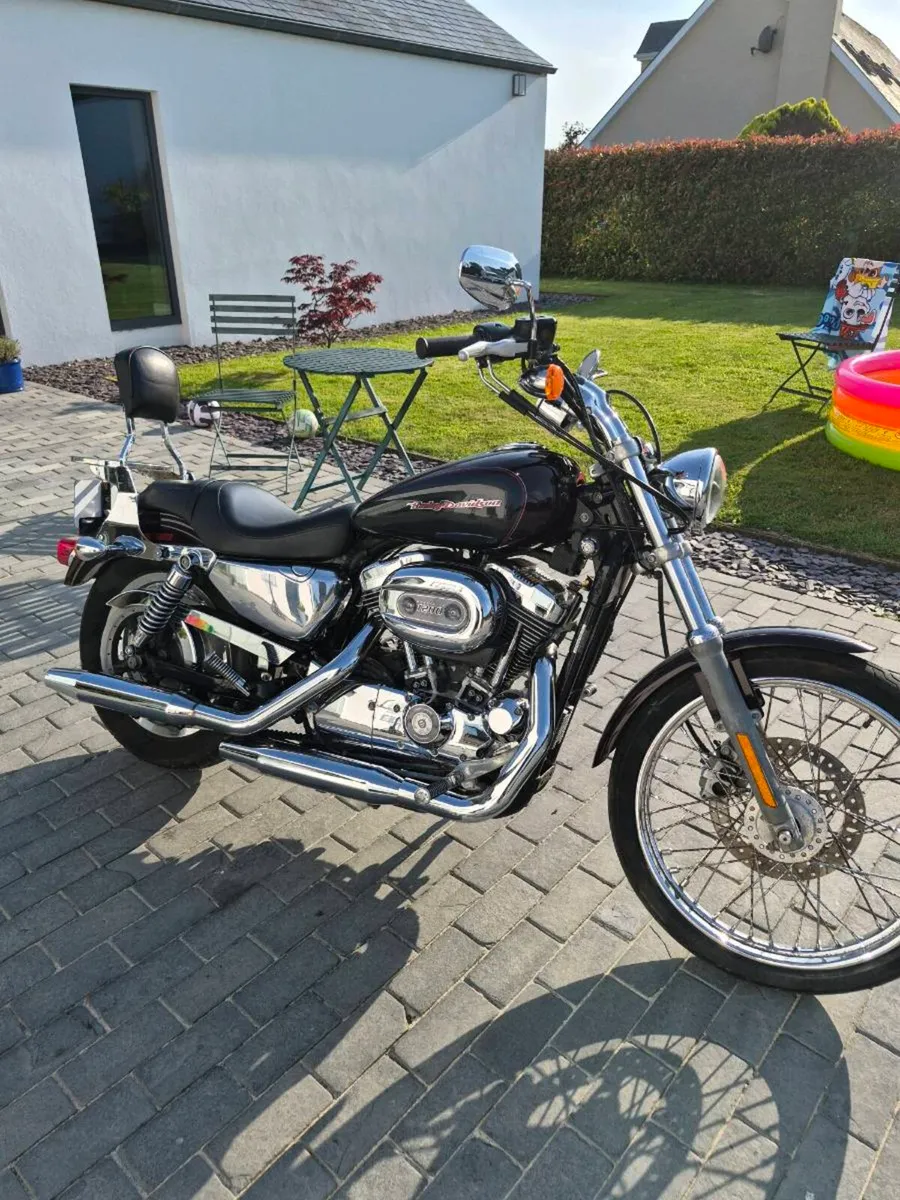 Harley Davidson sportster 1200 custom - Image 1