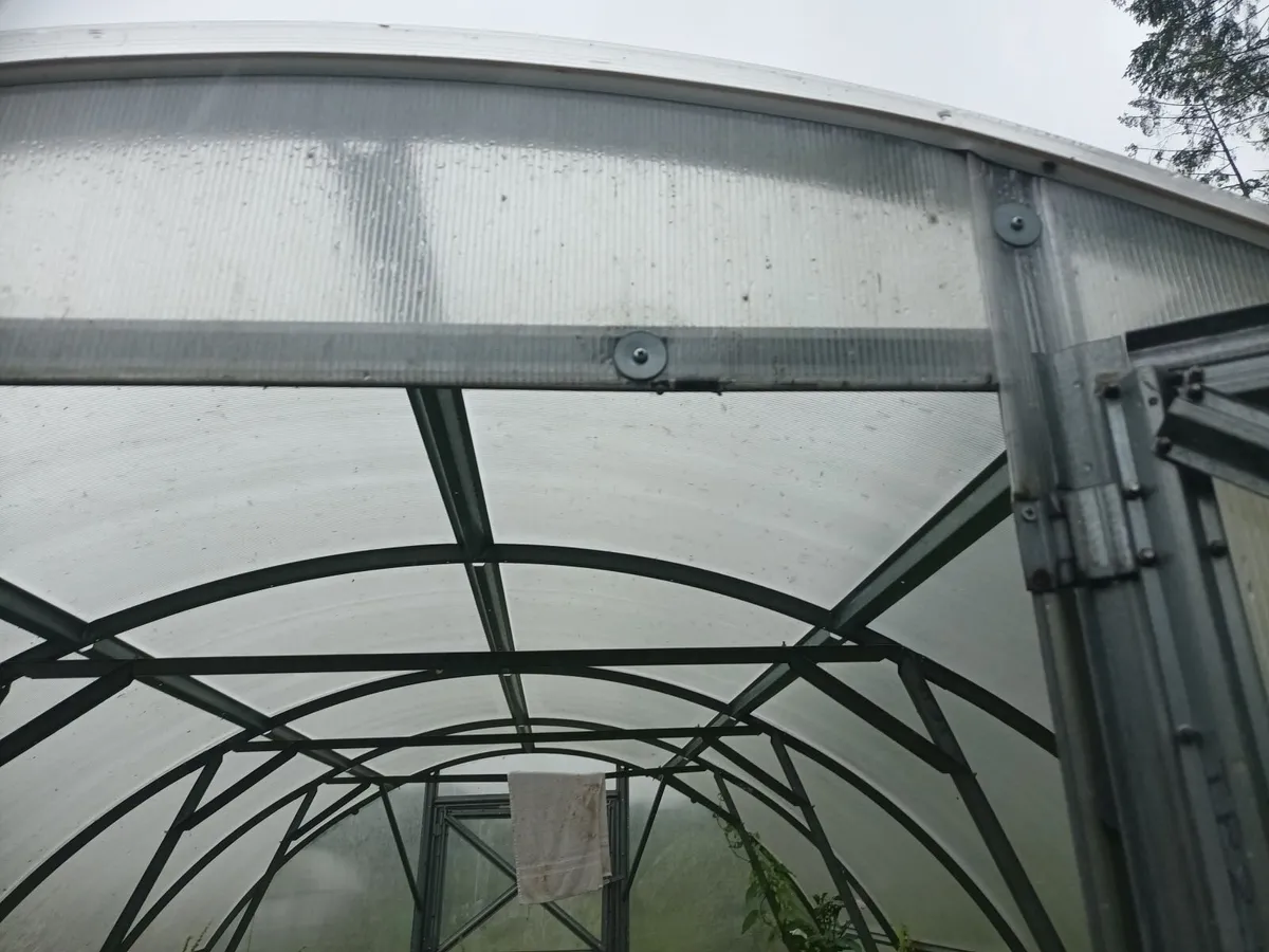 Polytunnel for sale - Image 1