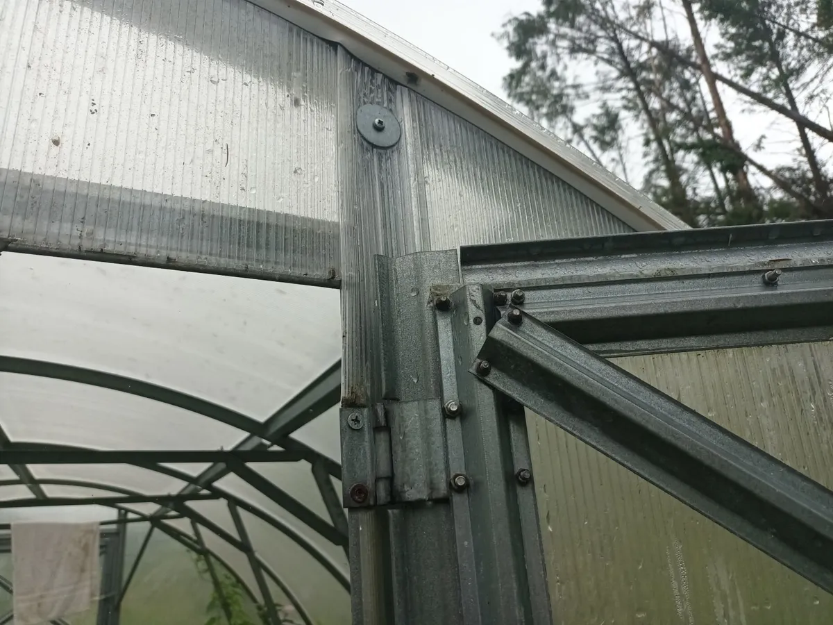 Polytunnel for sale - Image 2