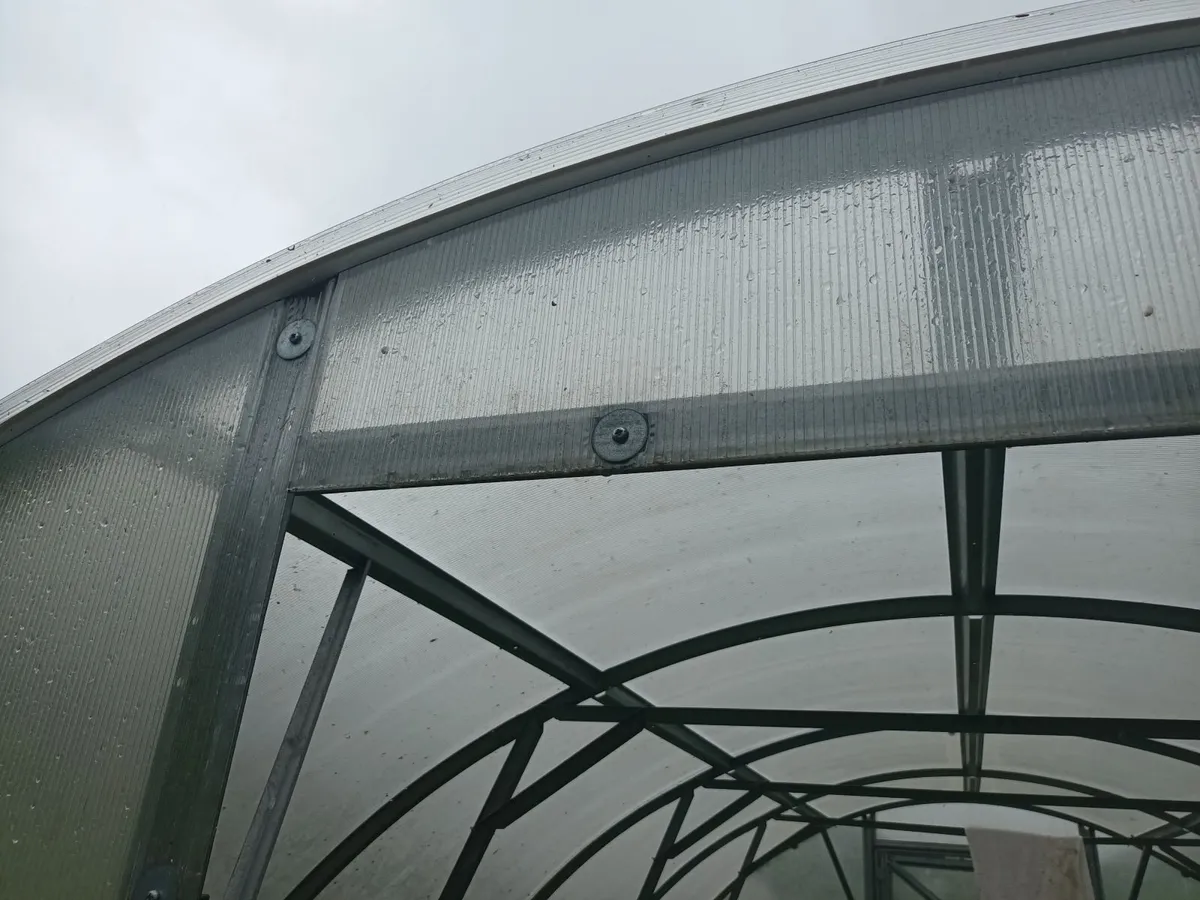Polytunnel for sale - Image 3