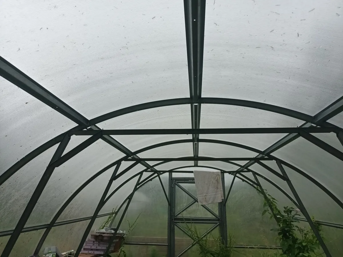 Polytunnel for sale - Image 4