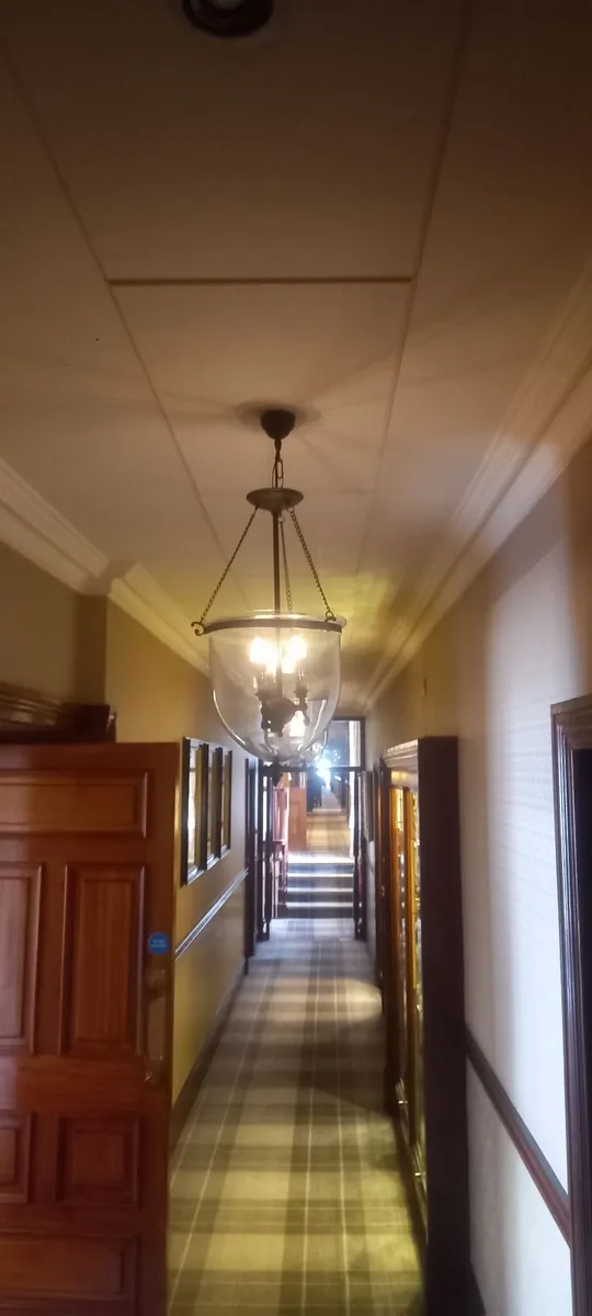 Vintage drop lights - Image 3