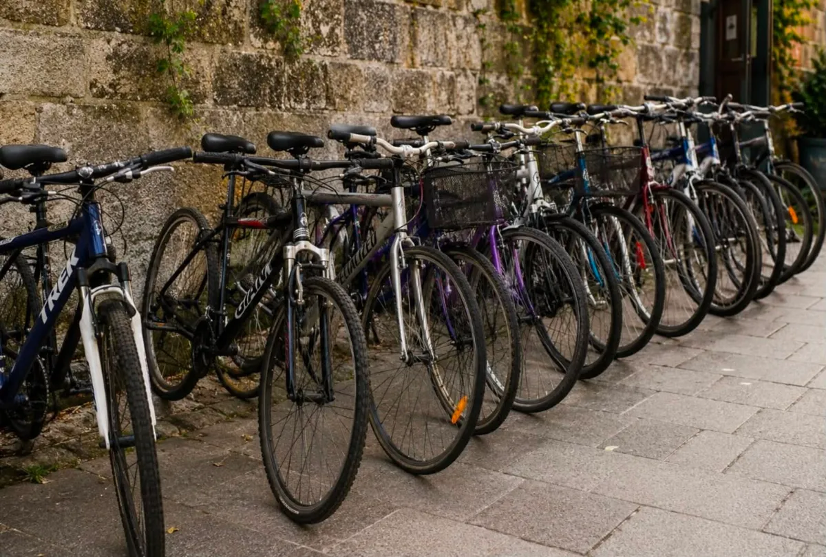 🚲 Quality Male & Female Bikes – Fully Serviced &