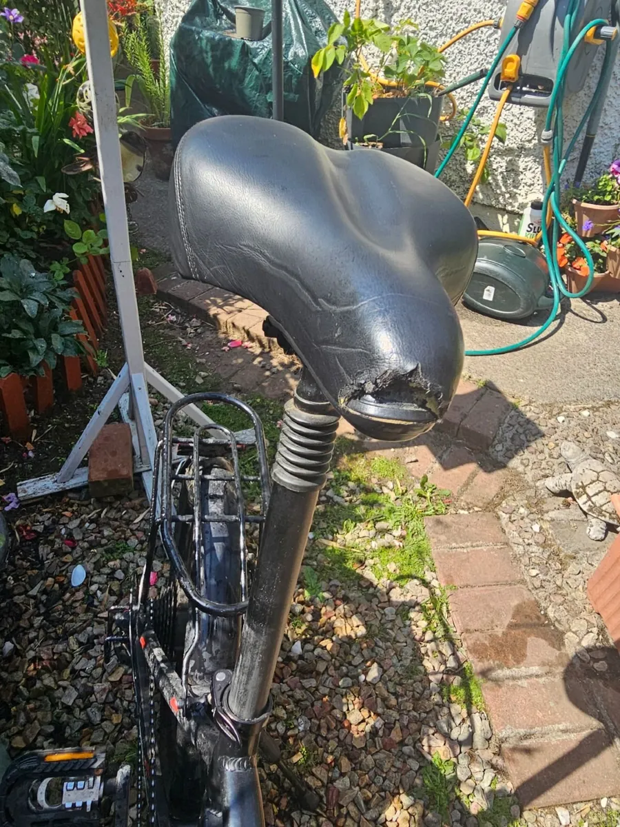 Electric Bike - Image 4
