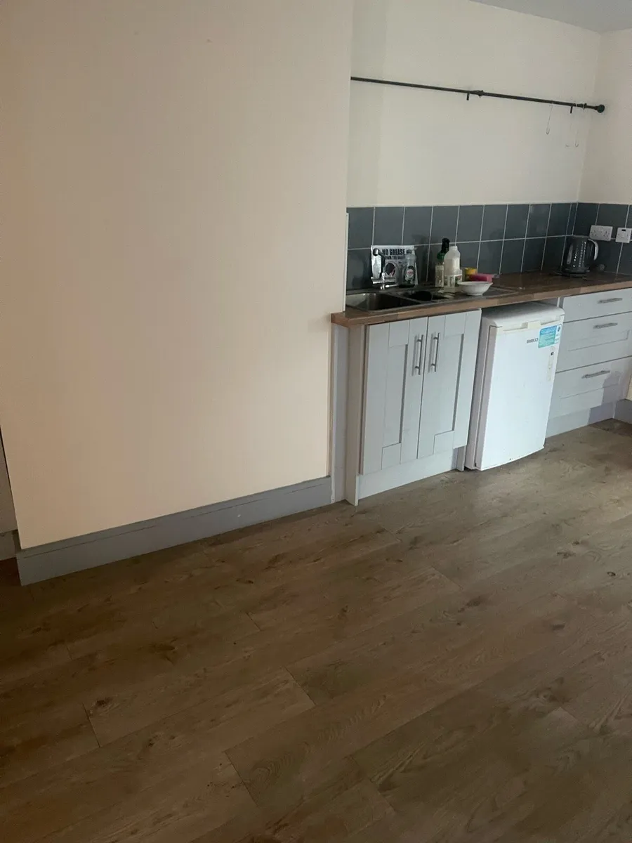 Appartnent for rent in Newmarket. North co cork - Image 4