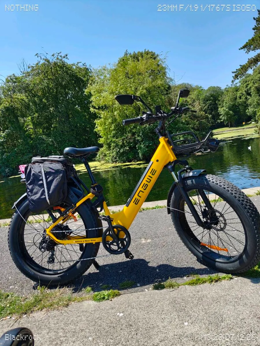 Electric Bicycle - Image 2