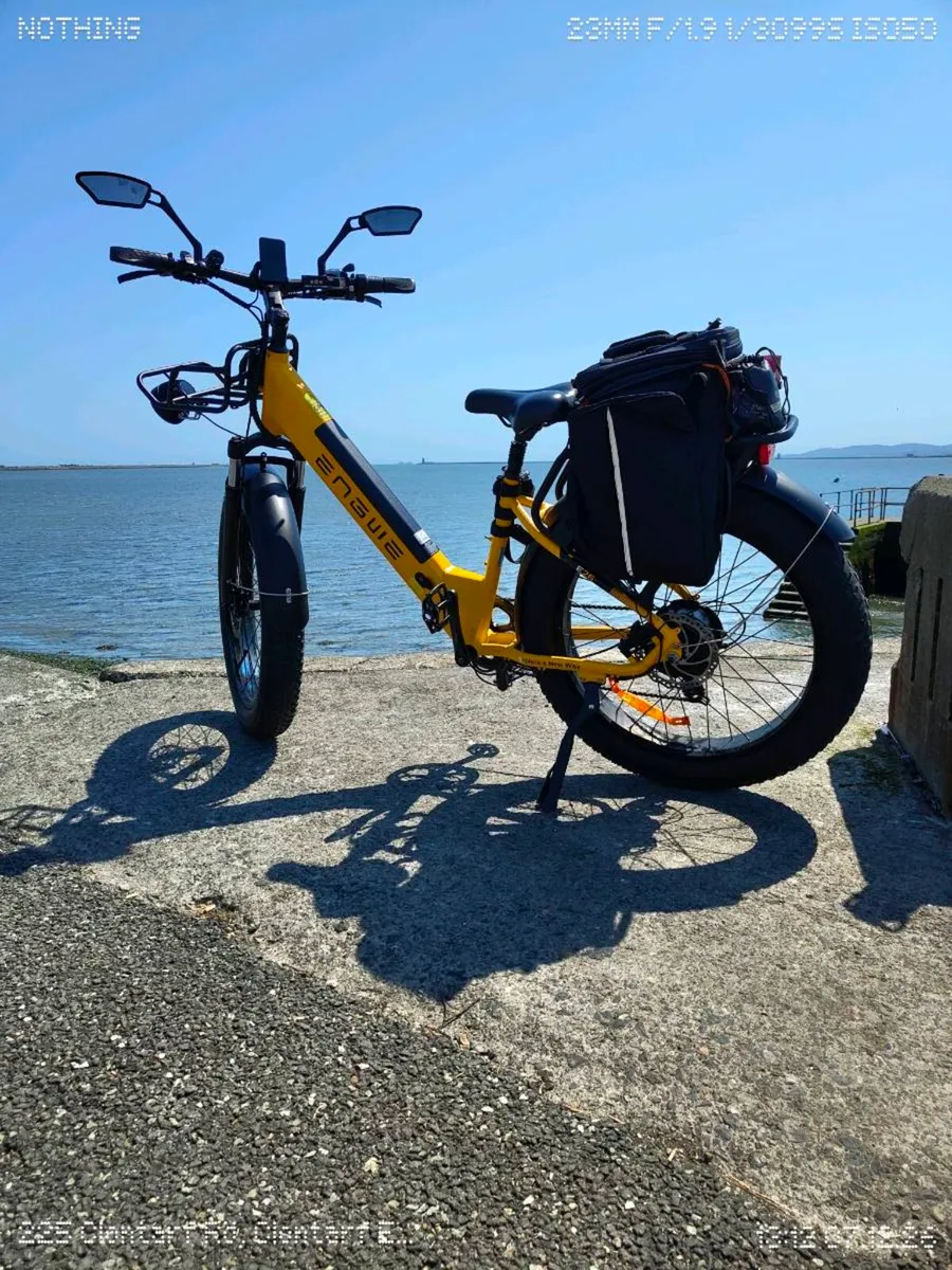 Electric Bicycle - Image 3