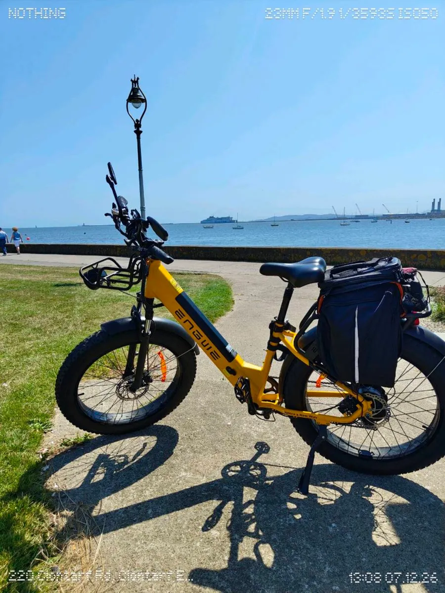 Electric Bicycle - Image 4