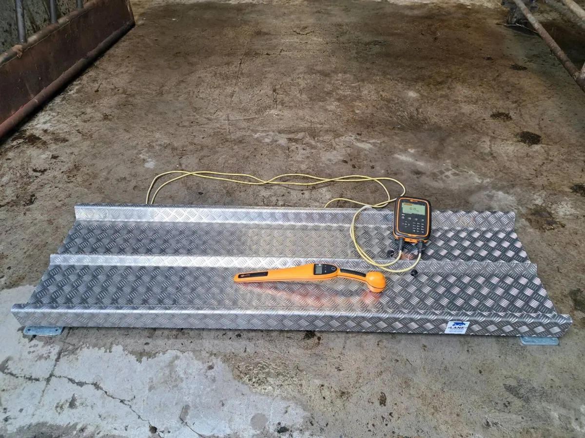 Cattle Weighing Scales (Qualify for BEEP and TAMS) - Image 1