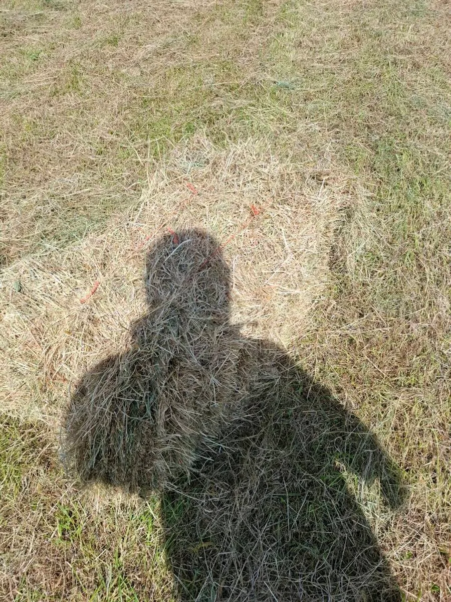 Top quality Square hay bales Hollymount claremorri - Image 4
