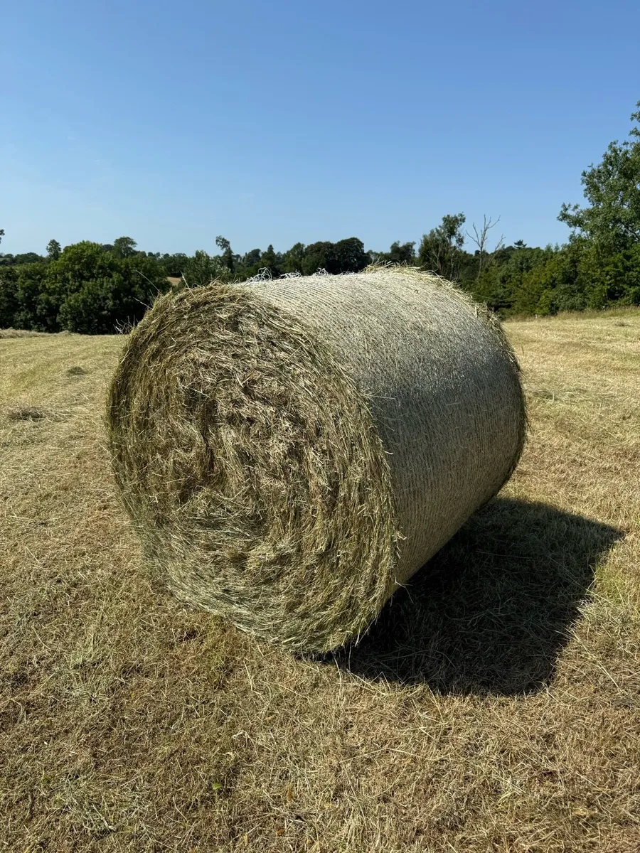 Certified Organic Hay - Haylage & Silage - Image 1