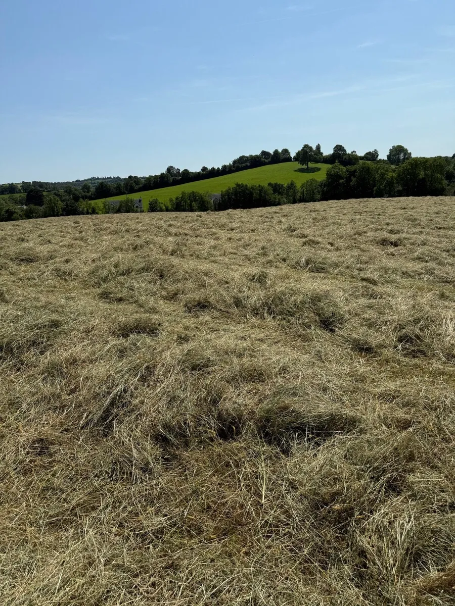 Certified Organic Hay - Haylage & Silage - Image 4