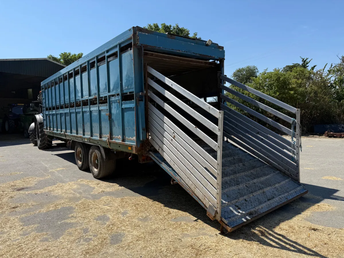 Bailey trailer with livestock box - Image 3