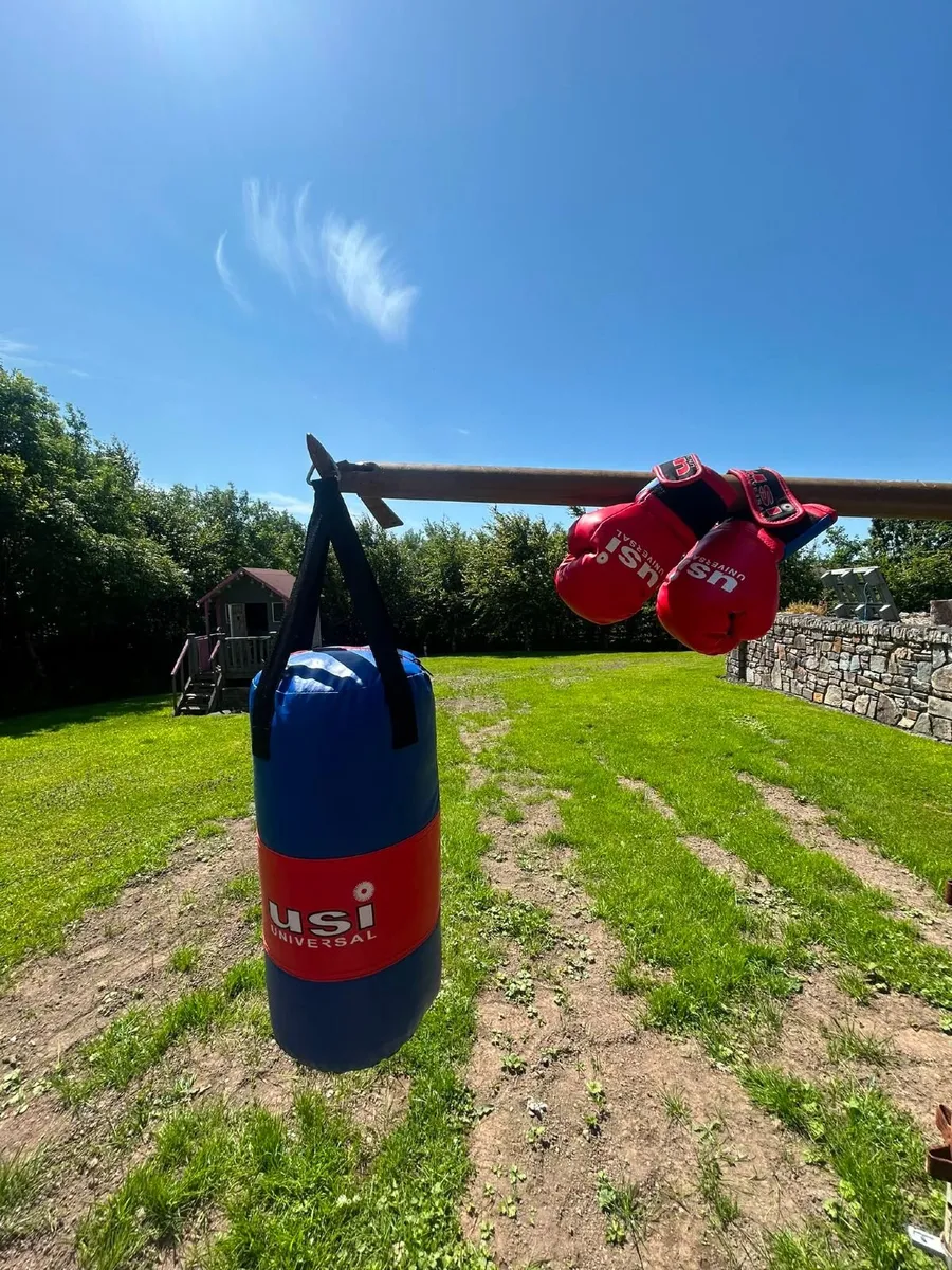 Youths Punch bag and gloves - Image 4