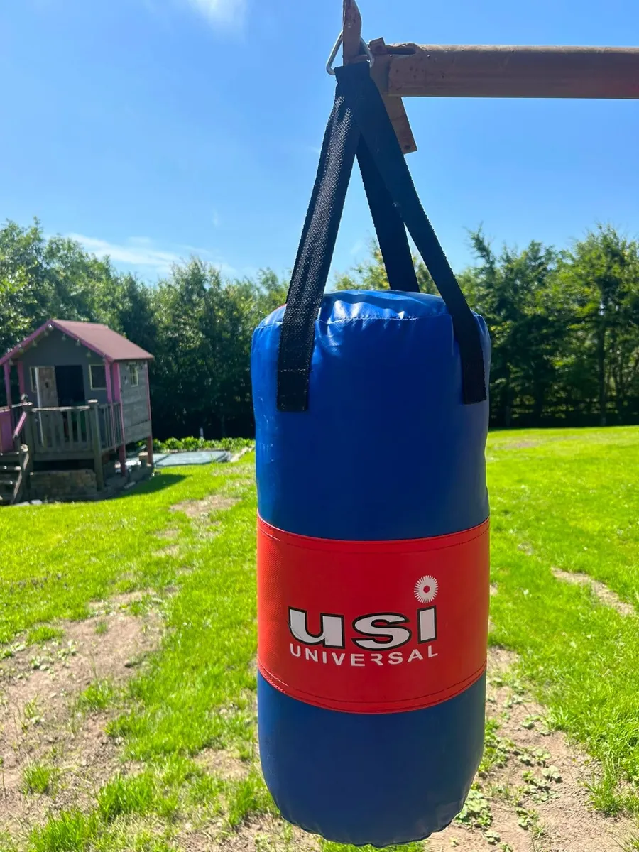 Youths Punch bag and gloves - Image 1