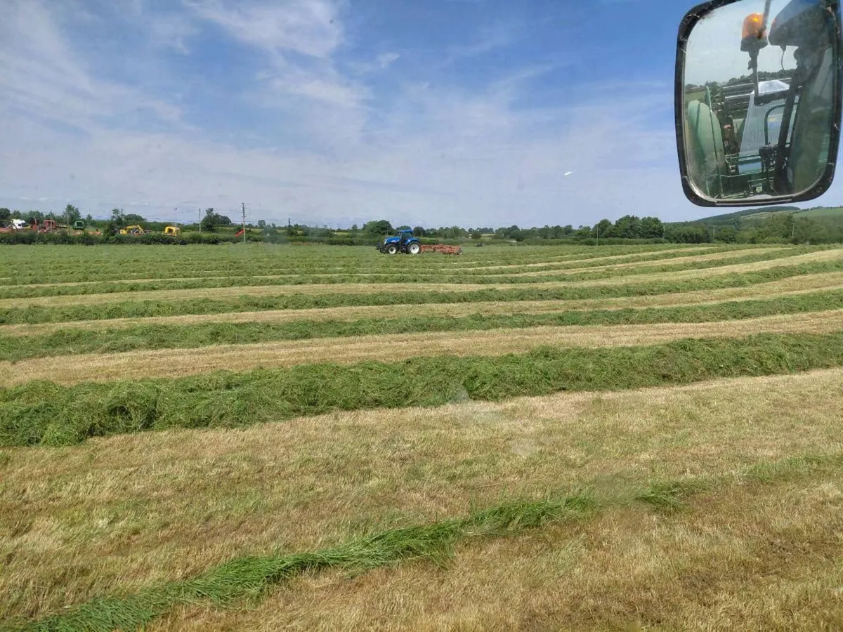 Silage bales - Image 1