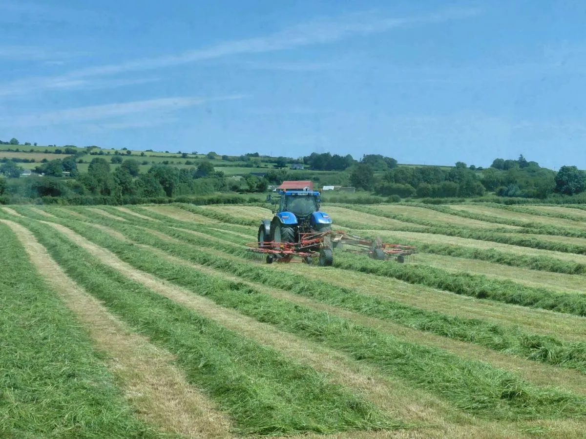 Silage bales - Image 2