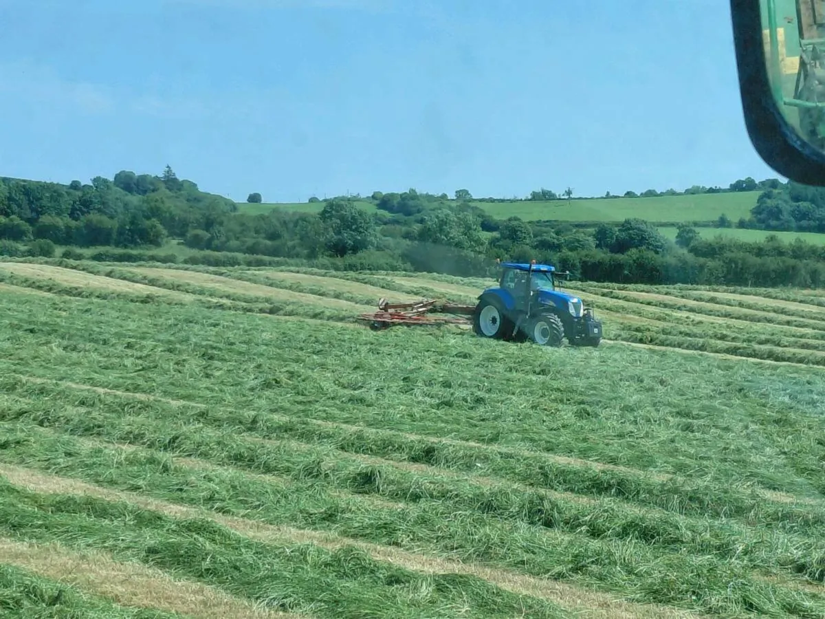 Silage bales - Image 3