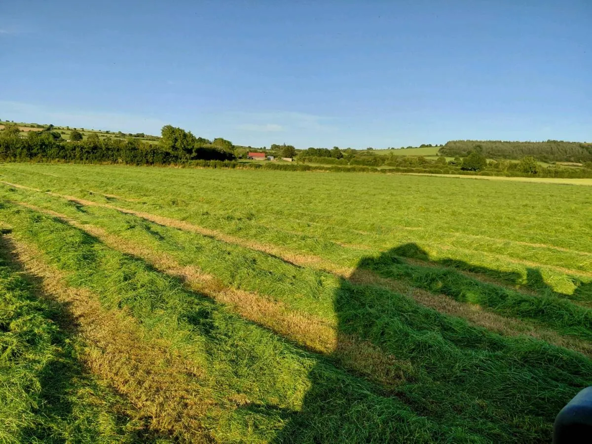 Silage bales - Image 4