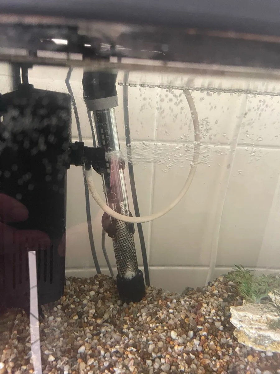 Tropical fish tank - Image 3