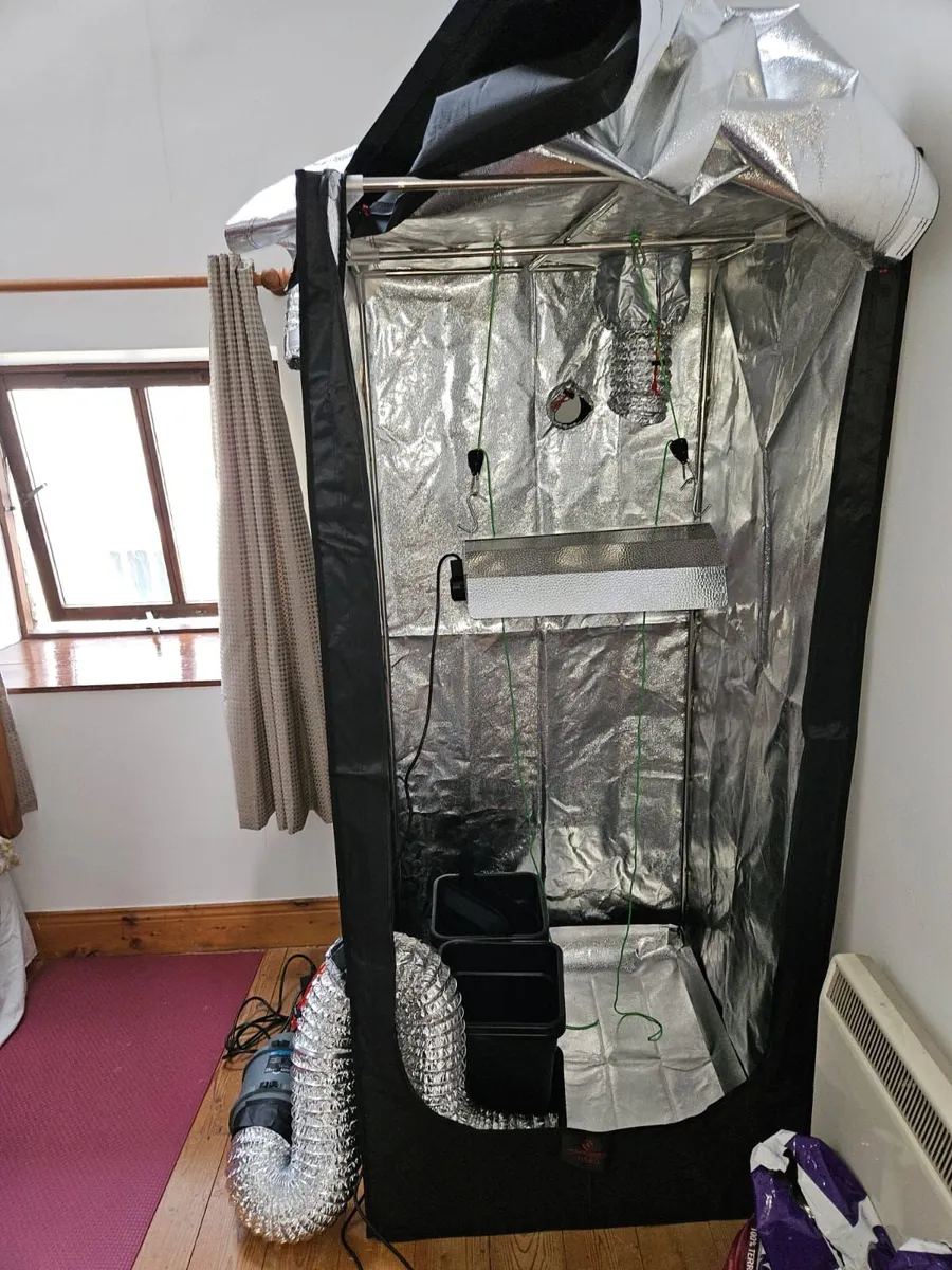 Indoor darkroom grow tent - Image 1