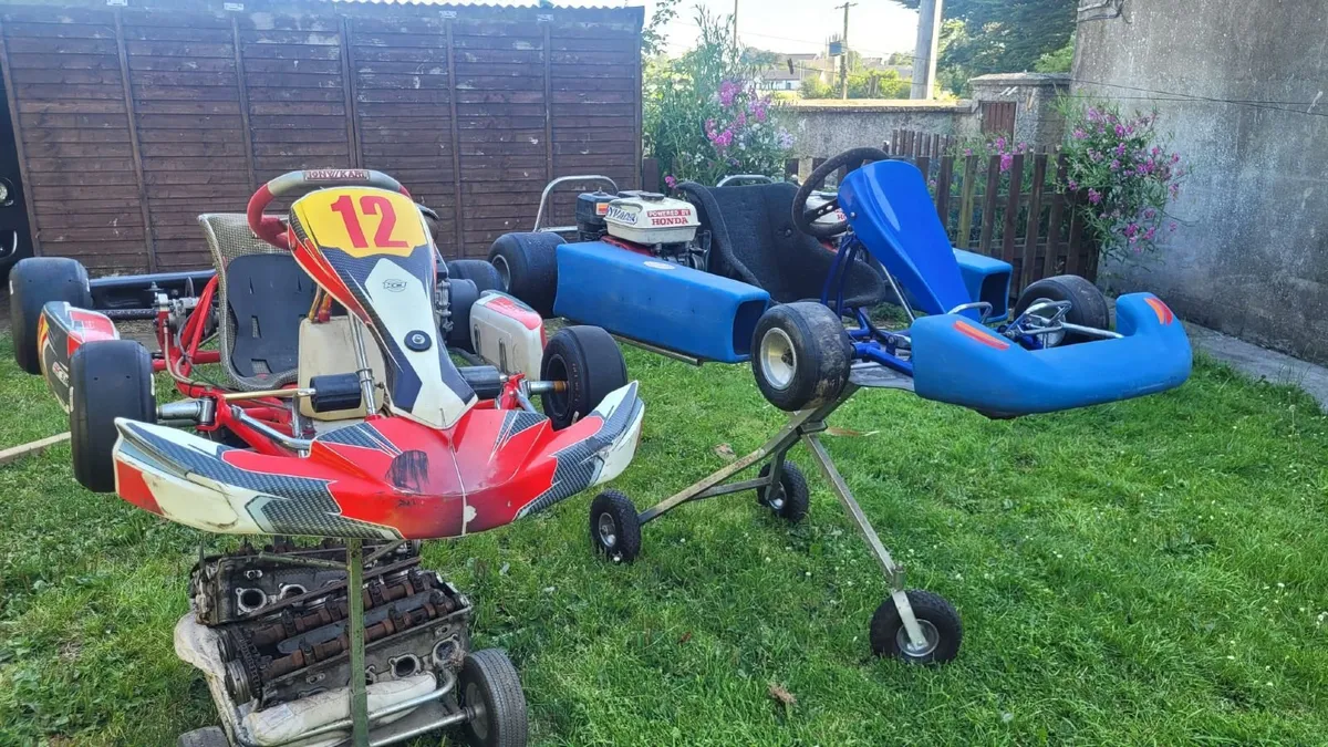 Race Karts - Image 1