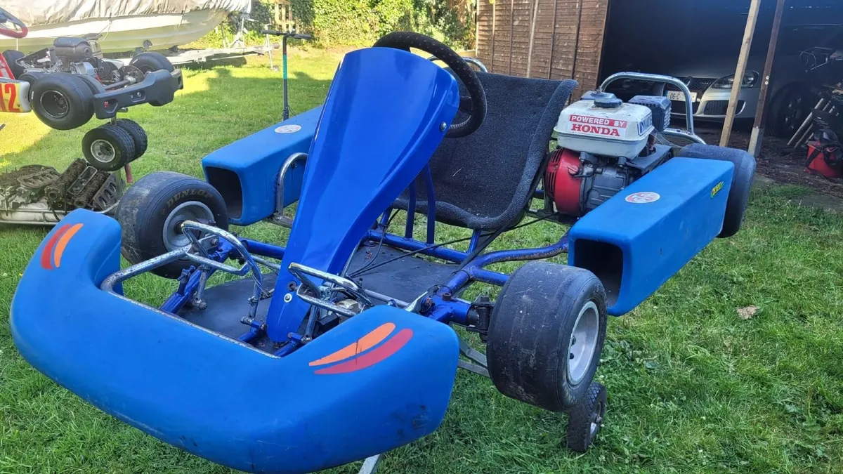 Race Karts - Image 4