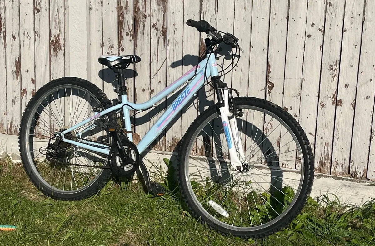2 x Bikes - Image 1