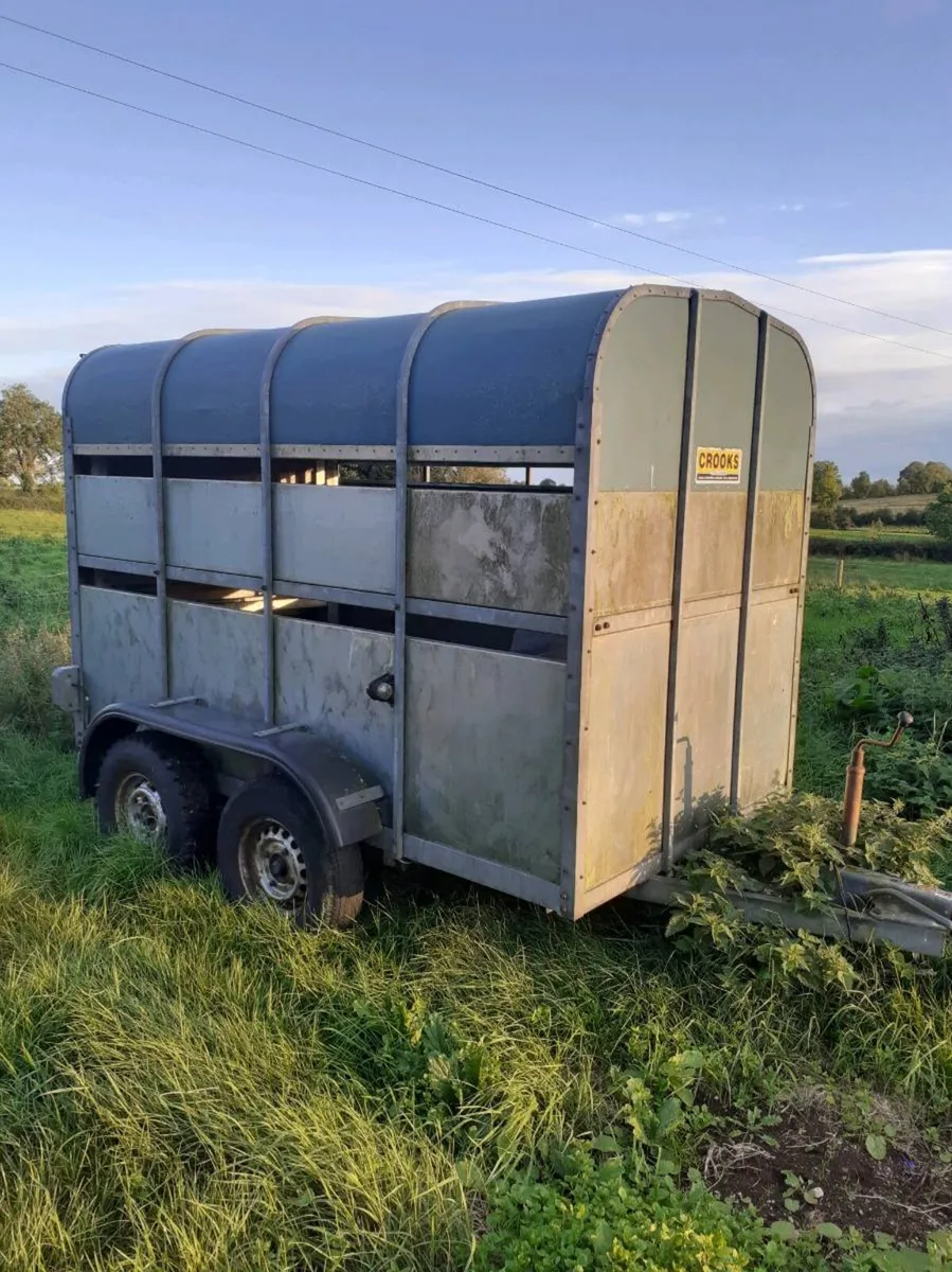 Roller/ Cattle trailer / Tipping trailer - Image 2