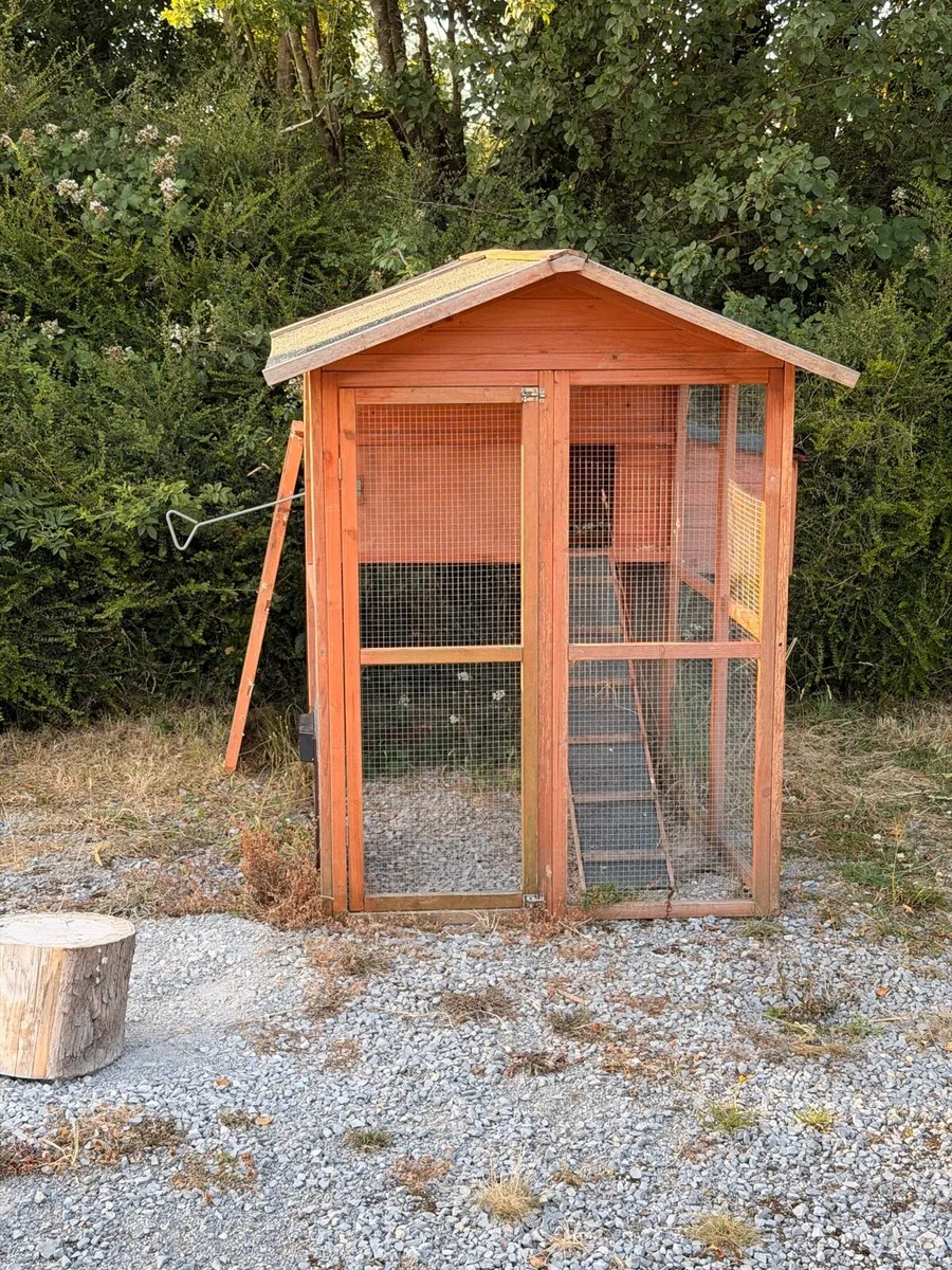 Wooden hen house with enclosure - Image 3