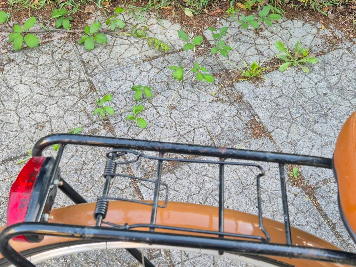 Ladies Bike - Image 2