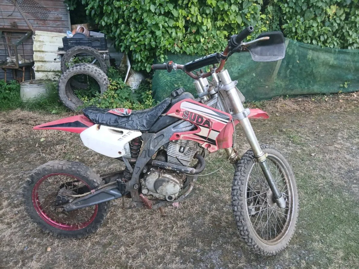Suzuki - Image 2
