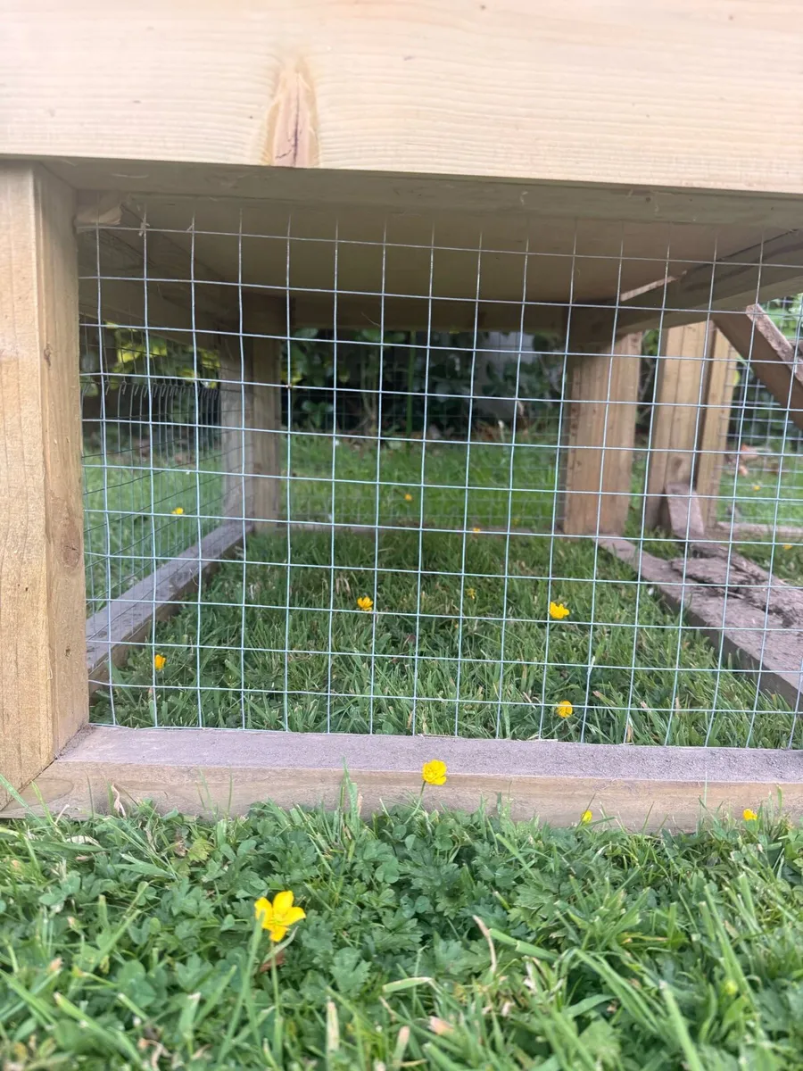 Chicken coop - Image 2